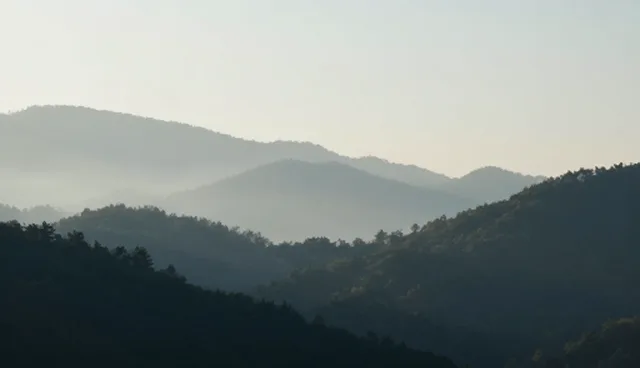 系统稳定性在眼镜屋光学成果转化中的关键作用